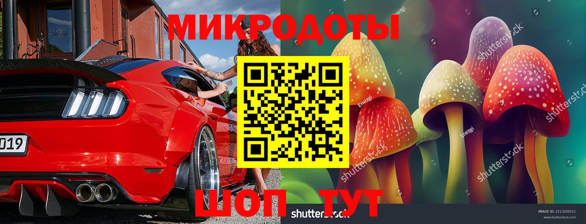 Псилоцибиновые грибы Cubensis Саранск
